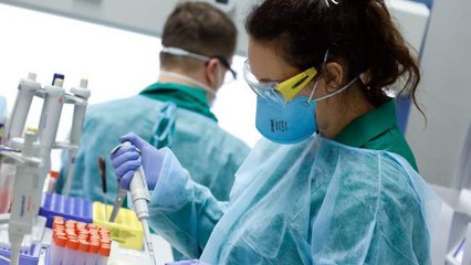 La OMS y China concluyen que el coronavirus es de origen animal