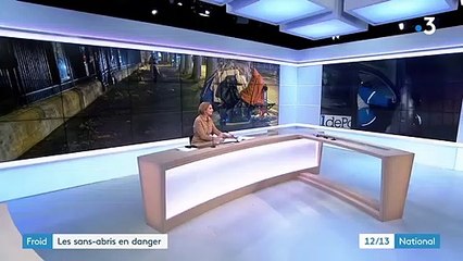 Vague de froid : le Samu social au chevet des sans-abris en danger