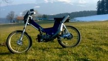 pittet project