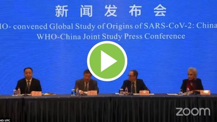 La OMS y China concluyen que el coronavirus es de origen animal
