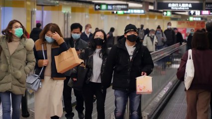La OMS y China concluyen que el coronavirus es de origen animal
