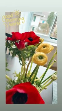 Μαρία Ηλιάκη: Η μετακόμιση με τον αγαπημένο της και οι πρώτες εικόνες από το νέο σπίτι! (1)