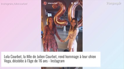 Julien Courbet annonce la mort d'un être pour qui il a eu "un vrai coup de foudre"