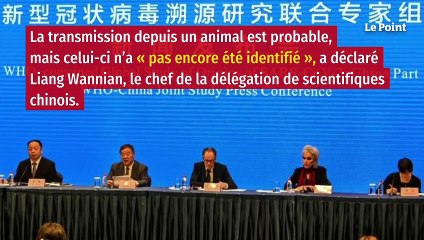 Covid-19 : l’animal à l’origine du virus « pas encore identifié »