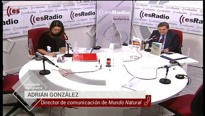 Mundo Natural: La importancia y el cuidado de la memoria