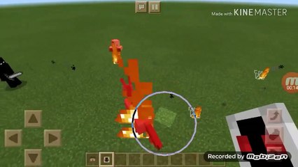 Minecraft  -- Herobrine vs Entity 303_