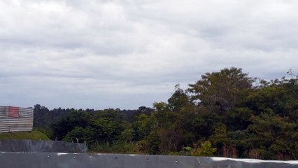 Boeing 737-800 PR-GTP na aproximação final antes de pousar em Manaus vindo de Fortaleza