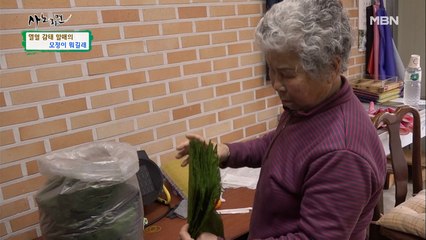 망가진 감태에 다친 며느리까지…심란하기만 한 할매