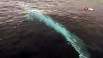 Akdeniz'de 15 metrelik oluklu balina görüntülendi