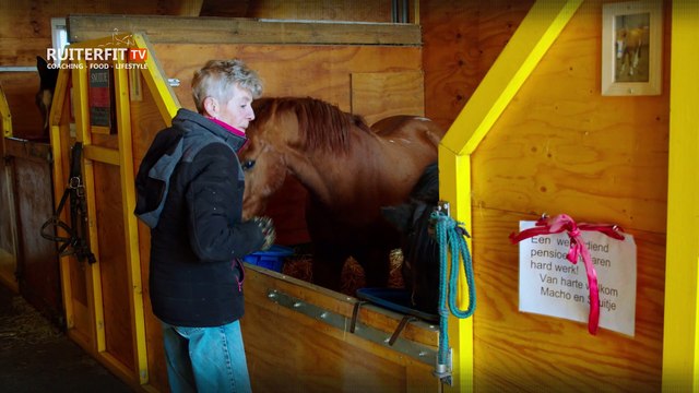 Stichting opvang oude manegepaarden en –pony’s in Beetgumermolen