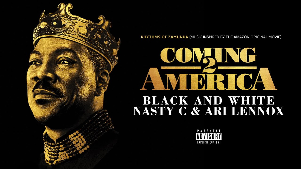 Nasty C Black And White video Dailymotion