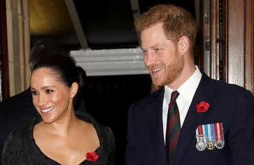 Télécharger la video: Prinz Harry und Herzogin Meghan nahmen an Poesiekurs teil