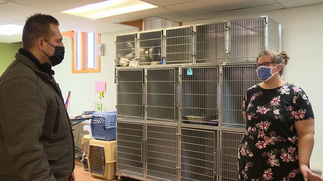 09 fev Topo PG maltraitance chien New Carlisle V2 OK