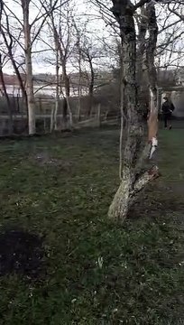 Rain assis / coucher en marche