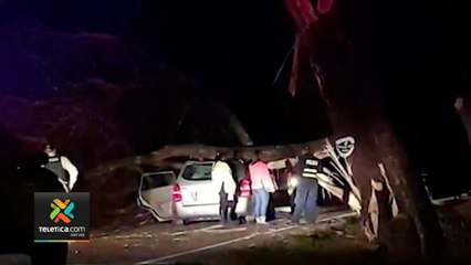 tn7-arbol-cae-sobre-carro-y-mata-a-lider-comunal-090221