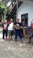 Leur métier : éleveurs de cobras géants... dingue