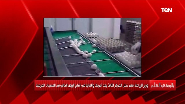 وزير الزراعة: مصر الثالث عالميًا في إنتاج البيض الخالي من المسببات المرضية