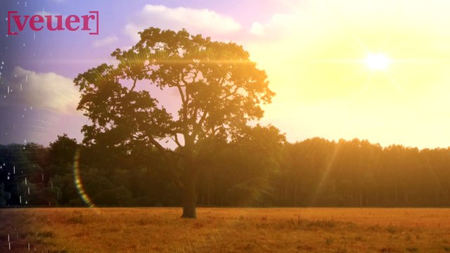 Staying Safe During the Winter Is Key, Especially During COVID