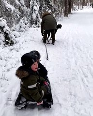 Dog Sled Walk Has a Rough Start