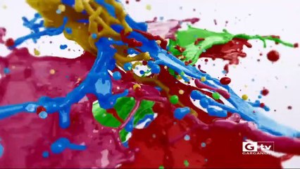 TG GARGANOTV 09 02 2021