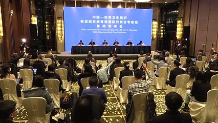 Transmissão entre animais antes dos humanos