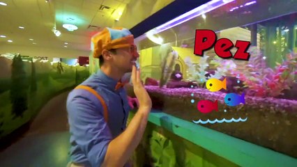 Blippi Español Aprende en el Museo de los Niños | ¡Aprende a contar para Niños y Más!