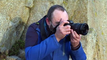 Is this just a wave or the face of Poseidon, God of the Sea?