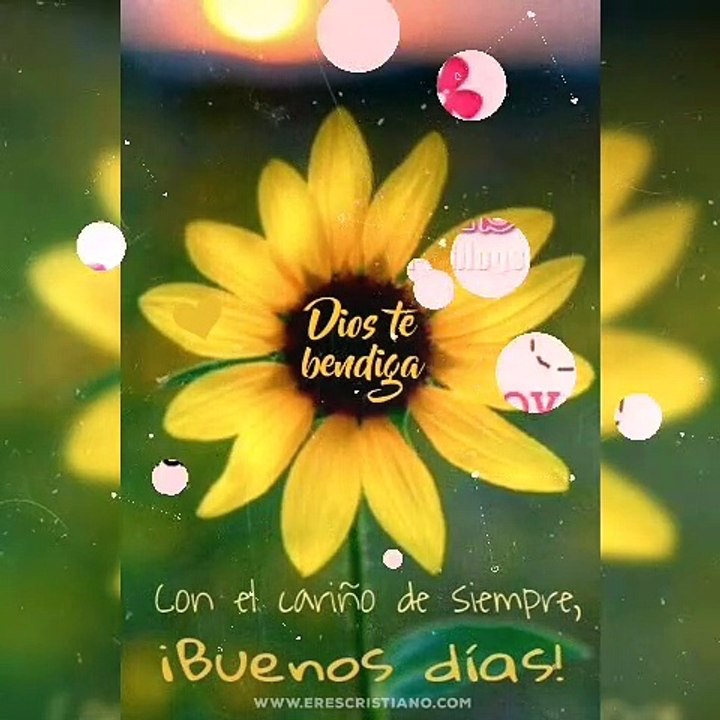 Feliz Miércoles 