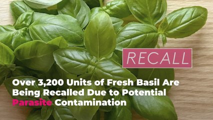 Over 3,200 Units of Fresh Basil Are Being Recalled Due to Potential Parasite Contamination