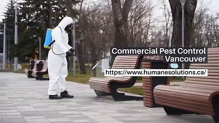 Commercial Pest Control in Vancouver