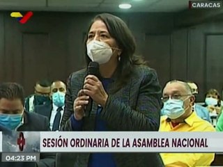 Comisión Permanente de Política Exterior AN propone investigar planificación  de magnicidio