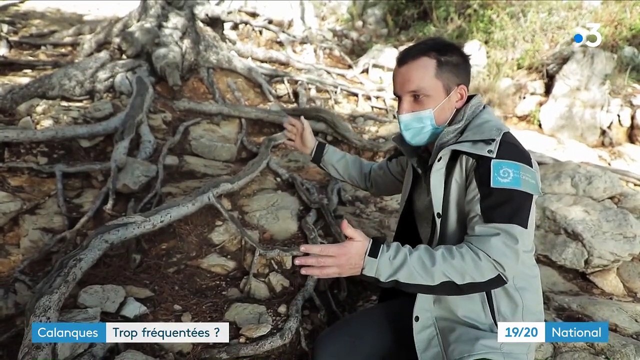 Bouches-du-Rhône : le parc national des Calanques fait sa contre-publicité pour limiter le tourisme
