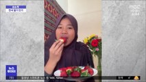 [이슈톡] 한국산 딸기에 빠진 인도네시아