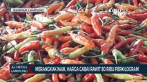 Harga Cabai Rawit Tembus 80 Ribu Rupiah Per Kilogram