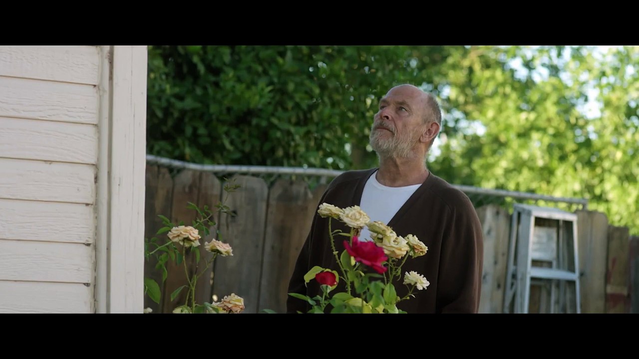 Life With Dog Trailer