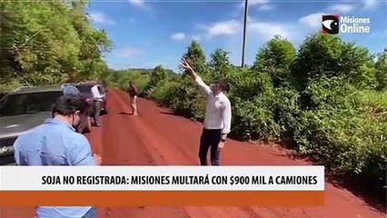 La multa por ingresar camiones de soja no declarada a Misiones se estableció en 900 mil pesos por carga