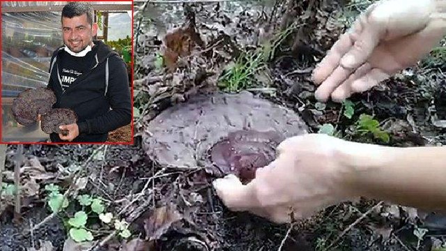 Şans eseri buldu: Kilosu dudak uçuklattı