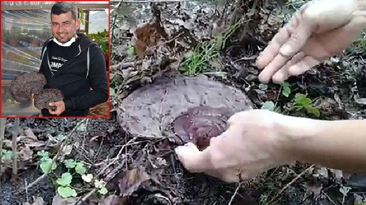 Şans eseri buldu: Kilosu dudak uçuklattı