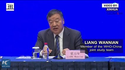 Huanan seafood market may not be site of earliest COVID-19 outbreak: WHO-China team