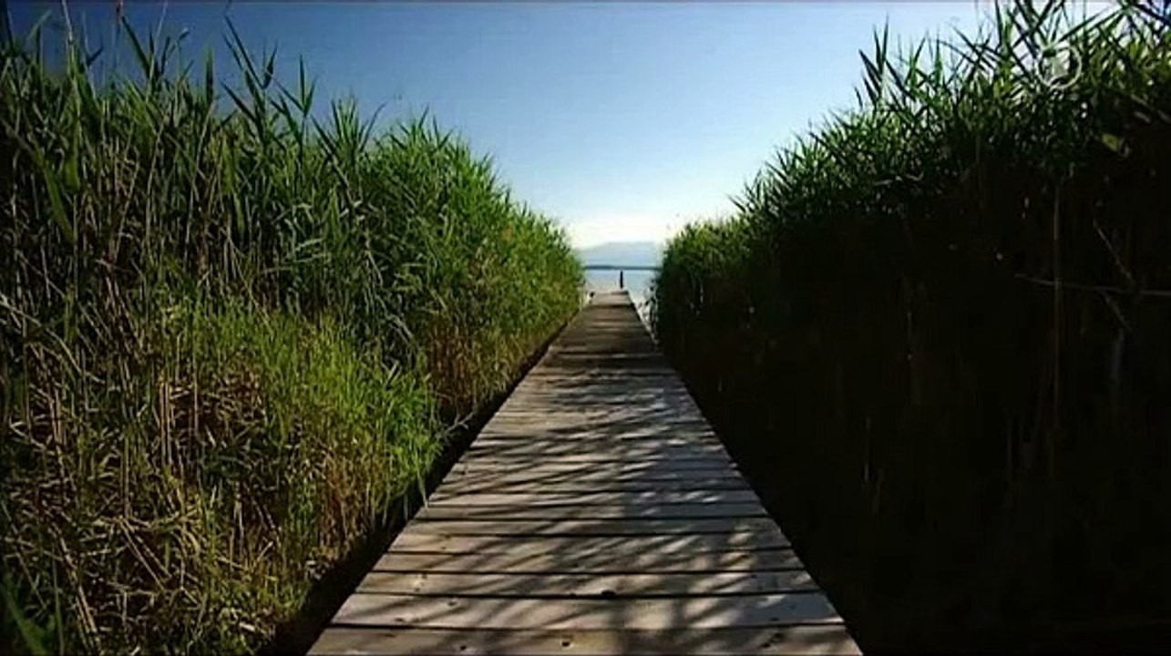 Sturm der Liebe, Folge 728 5/5