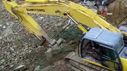 70 yıllık ağacı kesip, toprağın altına gömdüler