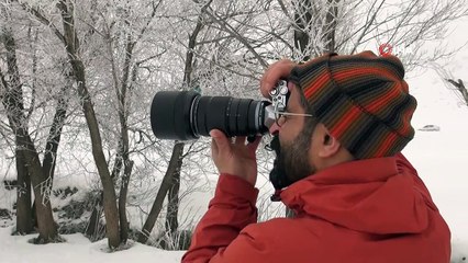 Kırağı tutan ağaçlar kartpostallık görüntüler oluşturdu