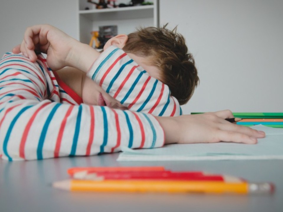 Bildungsforscher warnt: Schaden der Kinder 'macht niemand wieder gut'