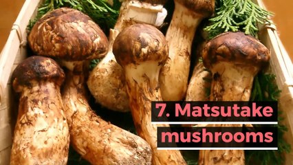 The 10 most expensive foods in the world