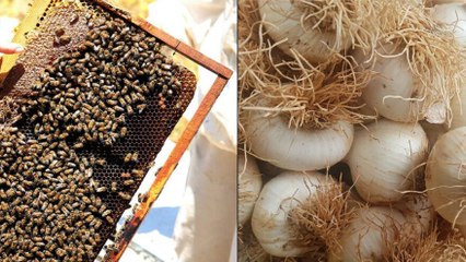 En çok bunlar aranıyor: İşte corona hurafeleri