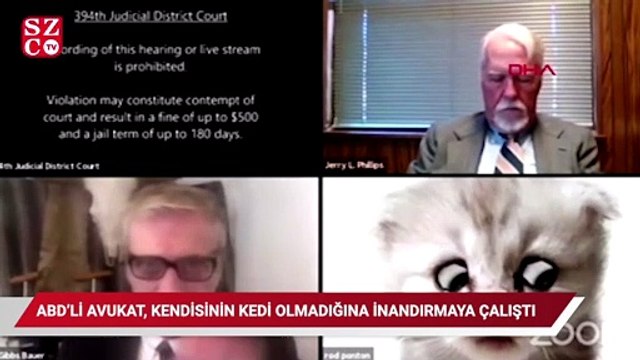 ABD'de online duruşmaya katılan avukat, kendisinin kedi olmadığına inandırmaya çalıştı
