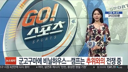 [프로야구] 군고구마에 비닐하우스…캠프는 추위와의 전쟁 중