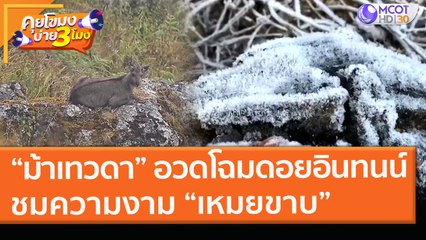 "ม้าเทวดา" อวดโฉมที่ดอยอินทนน์ ชมความงาม "เหมยขาบ" รับตรุษจีน (10 ก.พ. 64) คุยโขมงบ่าย 3 โมง | 9 MCOT HD