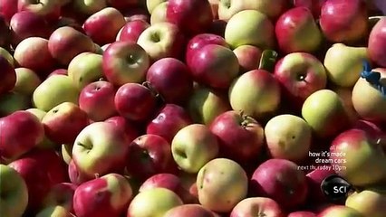 How Its Made - 994 Ice Cider