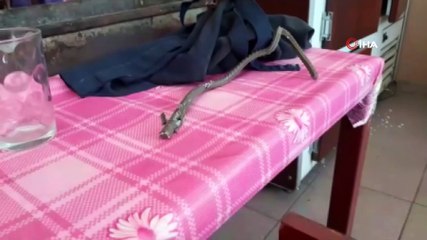 Osmaniye’de 3 iş yerine giren hırsız kamerada